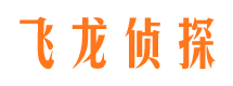 坊子侦探